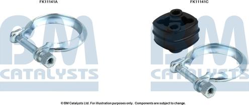 BM Catalysts FK11141 - Монтажный комплект, сажевый / частичный фильтр autosila-amz.com