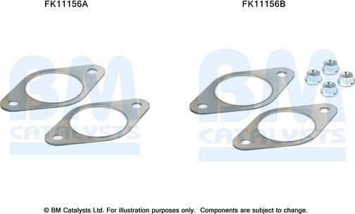 BM Catalysts FK11156 - Монтажный комплект, сажевый / частичный фильтр autosila-amz.com