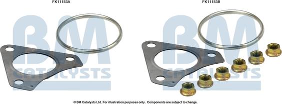 BM Catalysts FK11153 - Монтажный комплект, сажевый / частичный фильтр autosila-amz.com