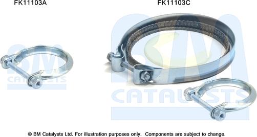 BM Catalysts FK11103 - Монтажный комплект, сажевый / частичный фильтр autosila-amz.com