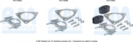 BM Catalysts FK11349 - Монтажный комплект, сажевый / частичный фильтр autosila-amz.com