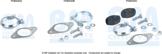 BM Catalysts FK80442 - Монтажный комплект, катализатор autosila-amz.com