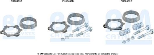 BM Catalysts FK80463 - Монтажный комплект, катализатор autosila-amz.com