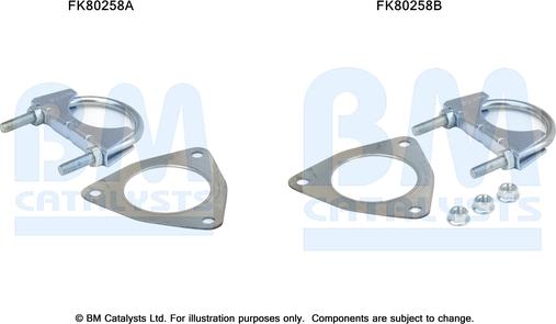 BM Catalysts FK80258 - Монтажный комплект, катализатор autosila-amz.com