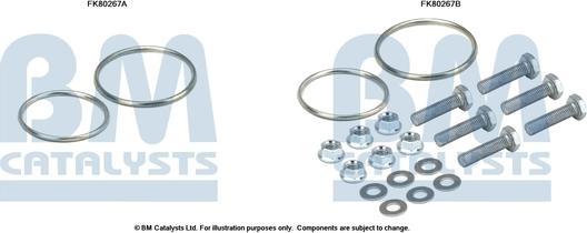 BM Catalysts FK80267 - Монтажный комплект, катализатор autosila-amz.com