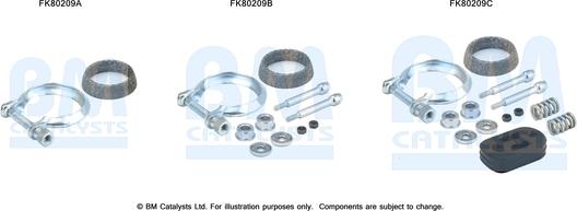 BM Catalysts FK80209 - Монтажный комплект, катализатор autosila-amz.com