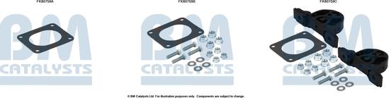 BM Catalysts FK80759 - Монтажный комплект, катализатор autosila-amz.com