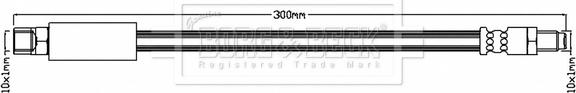 Borg & Beck BBH6928 - Тормозной шланг autosila-amz.com