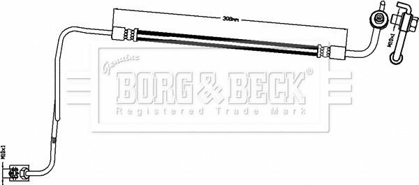 Borg & Beck BBH8494 - Тормозной шланг autosila-amz.com