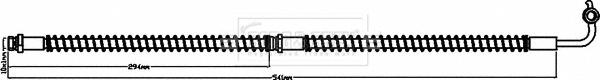 Borg & Beck BBH8487 - Тормозной шланг autosila-amz.com