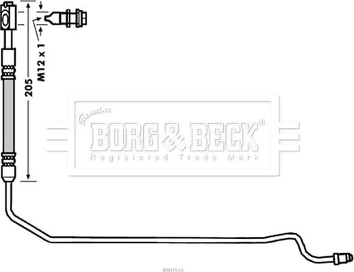 Borg & Beck BBH7910 - Тормозной шланг autosila-amz.com