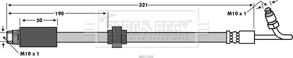 Borg & Beck BBH7668 - Тормозной шланг autosila-amz.com