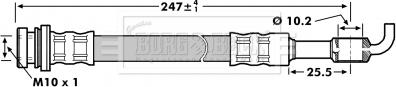 Borg & Beck BBH7128 - Тормозной шланг autosila-amz.com