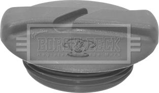 Borg & Beck BRC113 - Крышка, резервуар охлаждающей жидкости autosila-amz.com