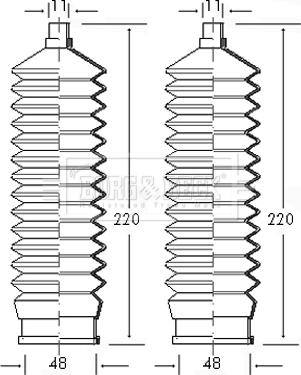 Borg & Beck BSG3040 - Комплект пыльника, рулевое управление autosila-amz.com