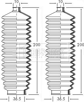 Borg & Beck BSG3039 - Комплект пыльника, рулевое управление autosila-amz.com