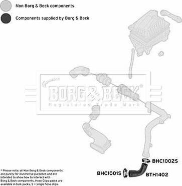 Borg & Beck BTH1402 - Трубка, нагнетание воздуха autosila-amz.com