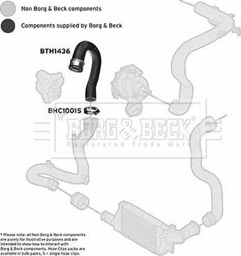 Borg & Beck BTH1436 - Трубка, нагнетание воздуха autosila-amz.com