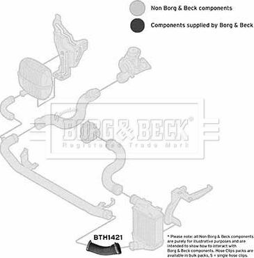 Borg & Beck BTH1421 - Трубка, нагнетание воздуха autosila-amz.com