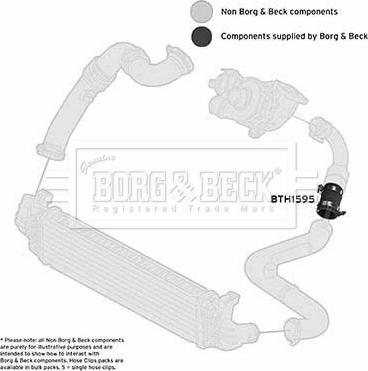 Borg & Beck BTH1595 - Трубка, нагнетание воздуха autosila-amz.com