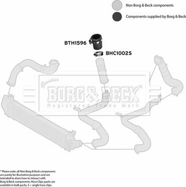 Borg & Beck BTH1596 - Трубка, нагнетание воздуха autosila-amz.com