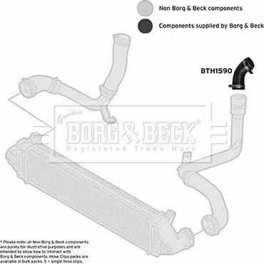 Borg & Beck BTH1590 - Трубка, нагнетание воздуха autosila-amz.com