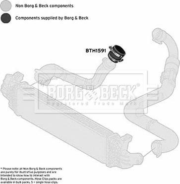 Borg & Beck BTH1591 - Трубка, нагнетание воздуха autosila-amz.com