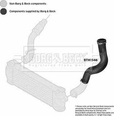 Borg & Beck BTH1546 - Трубка, нагнетание воздуха autosila-amz.com