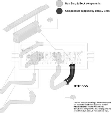 Borg & Beck BTH1555 - Трубка, нагнетание воздуха autosila-amz.com