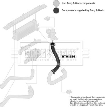 Borg & Beck BTH1556 - Трубка, нагнетание воздуха autosila-amz.com