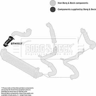 Borg & Beck BTH1557 - Трубка, нагнетание воздуха autosila-amz.com