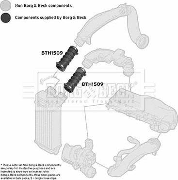 Borg & Beck BTH1509 - Трубка, нагнетание воздуха autosila-amz.com