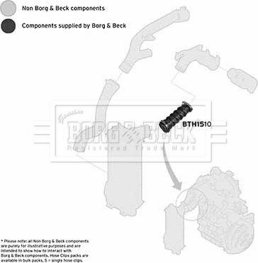 Borg & Beck BTH1510 - Трубка, нагнетание воздуха autosila-amz.com