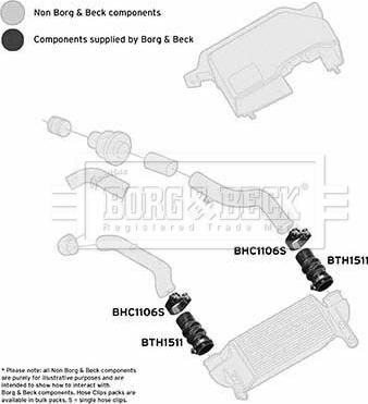 Borg & Beck BTH1511 - Трубка, нагнетание воздуха autosila-amz.com