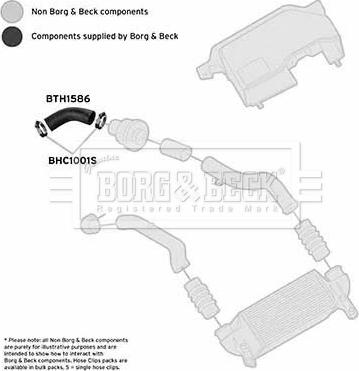 Borg & Beck BTH1586 - Трубка, нагнетание воздуха autosila-amz.com