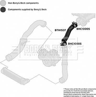 Borg & Beck BTH1537 - Трубка, нагнетание воздуха autosila-amz.com