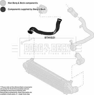 Borg & Beck BTH1521 - Трубка, нагнетание воздуха autosila-amz.com
