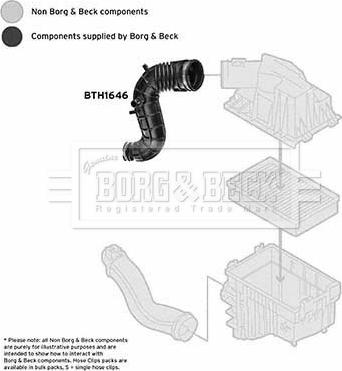 Borg & Beck BTH1646 - Рукав воздухозаборника, воздушный фильтр autosila-amz.com