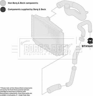 Borg & Beck BTH1641 - Трубка, нагнетание воздуха autosila-amz.com