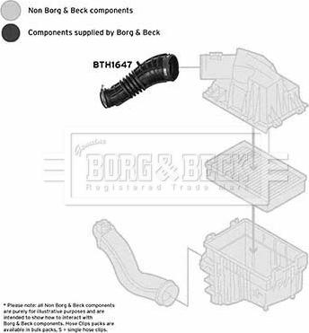 Borg & Beck BTH1647 - Рукав воздухозаборника, воздушный фильтр autosila-amz.com