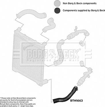 Borg & Beck BTH1663 - Трубка, нагнетание воздуха autosila-amz.com