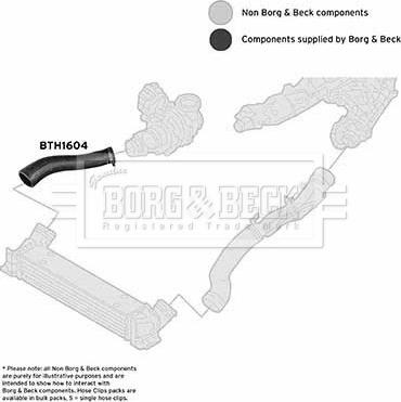 Borg & Beck BTH1604 - Трубка, нагнетание воздуха autosila-amz.com