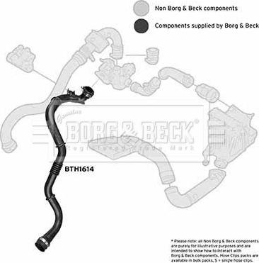 Borg & Beck BTH1614 - Трубка, нагнетание воздуха autosila-amz.com