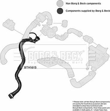 Borg & Beck BTH1615 - Трубка, нагнетание воздуха autosila-amz.com