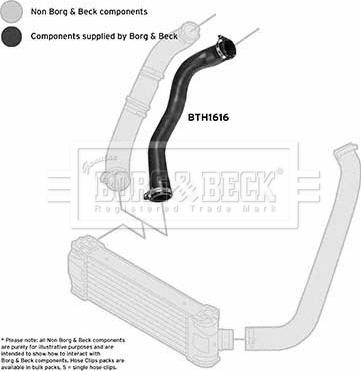 Borg & Beck BTH1616 - Трубка, нагнетание воздуха autosila-amz.com