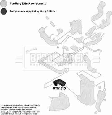 Borg & Beck BTH1610 - Трубка, нагнетание воздуха autosila-amz.com