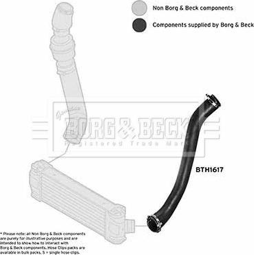 Borg & Beck BTH1617 - Трубка, нагнетание воздуха autosila-amz.com