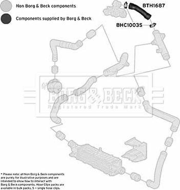 Borg & Beck BTH1687 - Трубка, нагнетание воздуха autosila-amz.com