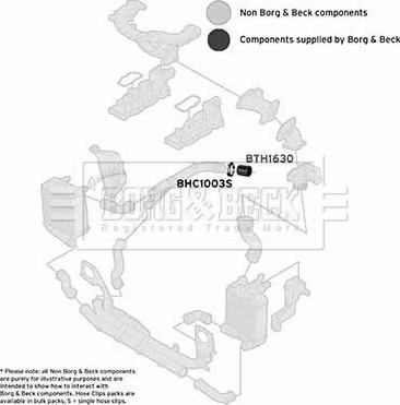 Borg & Beck BTH1630 - Трубка, нагнетание воздуха autosila-amz.com