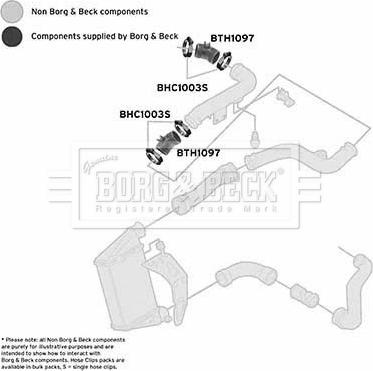 Borg & Beck BTH1097 - Трубка, нагнетание воздуха autosila-amz.com